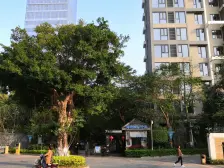 海峡国际社区一期 4室2厅 东南 北