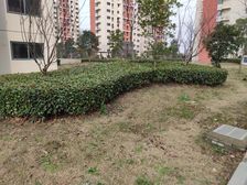 边套全明三房、自住精装修、拎包入住。景观楼层无遮挡