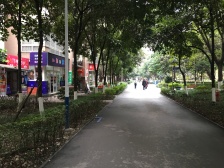 诚心卖 手慢无 天邻风景 150.9平4居 南向 着急出售