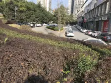 轻轨3号线5房顶跃,精装修 视野开阔 带花园