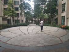 精装低楼层保养好两居室诚心出售