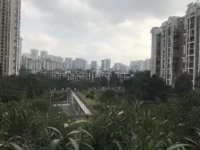 鲁能星城成熟洋房 顶跃户型 带屋顶花园 带子母车位