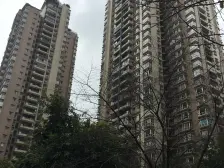 诚投天邻风景 2室2厅 北