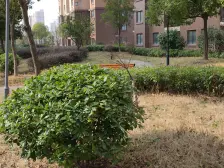 电梯中高楼层,视野开阔,无遮挡,不靠马路