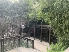 精装修可拎包入住 户型通透 四房双卫 带前后大花园