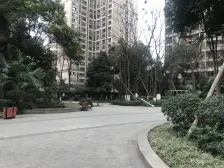 嘉州新光天地 山顶道国宾城 五套打通办公装修