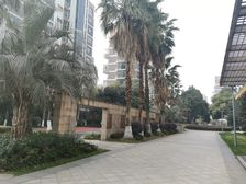 房东诚心出售114平精装大三房电梯中楼层 一表生