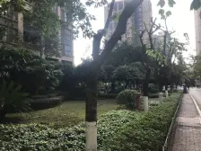 汽博中心 奥林匹克花园七期(紫枫郡)三房108万