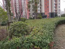 户型方正 采光好 业主诚意出售