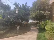 照母山 融创凡尔赛领馆一期一房98万