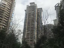 加州新牌坊 中渝山顶道国宾城四房252万