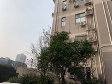 德安大厦4室2厅西南西南