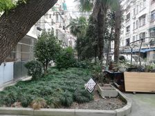 漕宝路地铁新上房源产权清晰中间楼层刚需上车