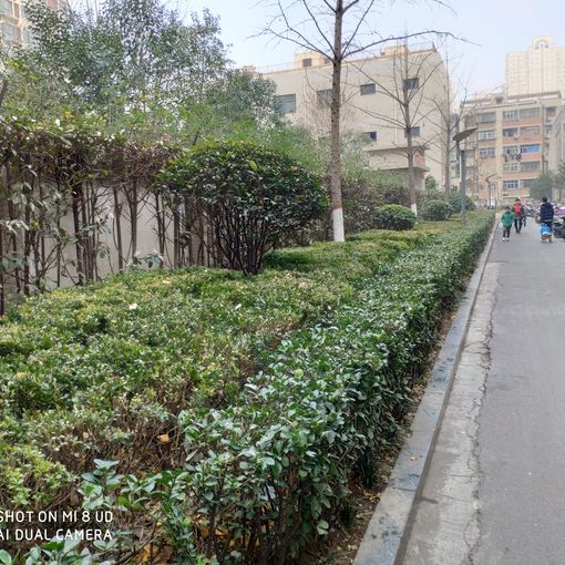 升龙国际中心4室2厅2卫南北朝向4800.00元/月出租
