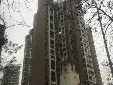 精装大三房,户型方正,视野开阔