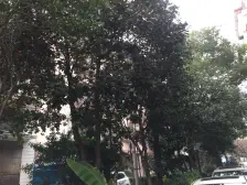 商品房+xi有户型+近大柏树地铁站+诚心出售