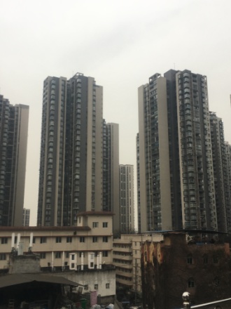 丽都锦城