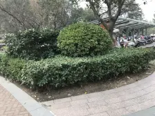 高铁站70年产权双气住宅,人车分流,满五