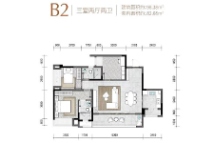 新天泽樾麓台B2户型