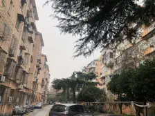 放大招减税,降利率,再观望便真是认知出问题