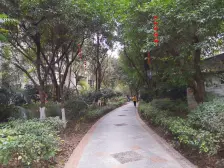 杨公桥 俊峰龙凤云洲三房95万