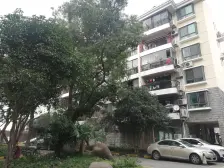 交通便利,居家装修,品质小区,景观房