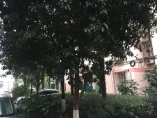 一梯两户+南北全明+视野采光佳+大柏树地地铁+龙之梦近