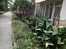 大开间,双阳台,诚意出售,精装好房