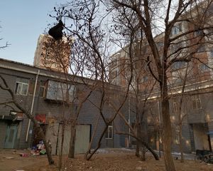艳粉新城南北70米四楼万达商圈培英