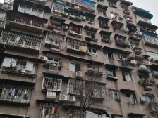 静园小区,电梯房,出入方便,环境优美