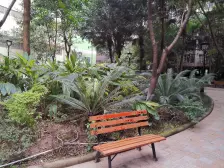 学林雅园 3室2厅 东南