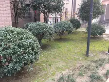 瑞和明庭南区双南户型,房子南侧面朝公园,一手动迁