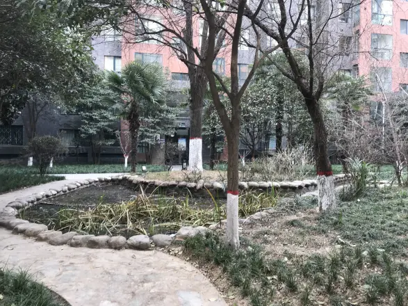 雅荷春天