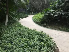 南坪万达商圈协信城 楼层朝向安静 采光好 近轻轨