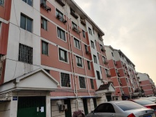 狮山·枫舟苑·3室·1厅