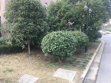 新上!带落地窗大阳台的三房,户型方正,交通便利