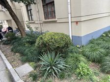 此房满五,户型好,高楼层采光好,视野宽阔诚意出售