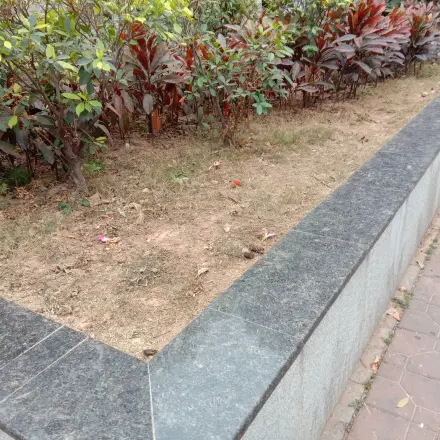 桂芳园六期