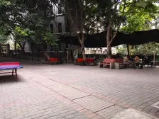 正规一室一厅,电梯房,户型好,采光好