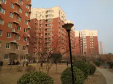 中鼎花园 2室2厅 南