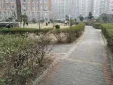 小高层,电梯双气小区,金水北,海洋馆旁,近东风渠