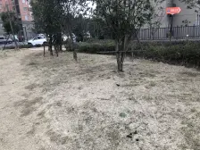 金丰苑一居 1室1厅 南