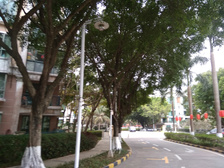 海怡湾畔四房二厅三卫双套房俯瞰小区园景通透性好