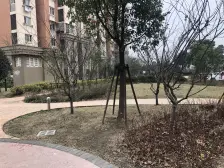 金丰苑一居 2室2厅 南