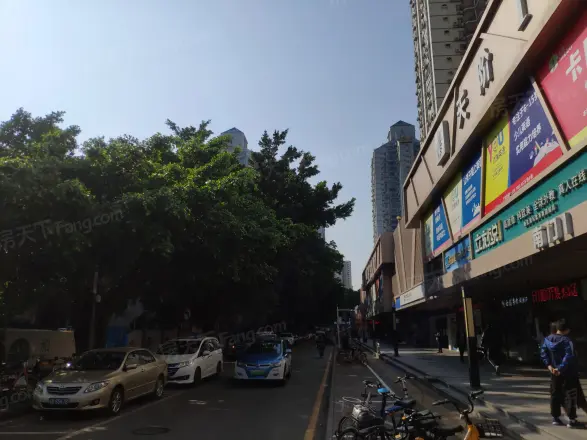 园东花园