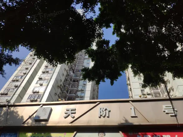 园东花园