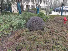 2019年带地暖次新小区,诚意出售,随时可以看房