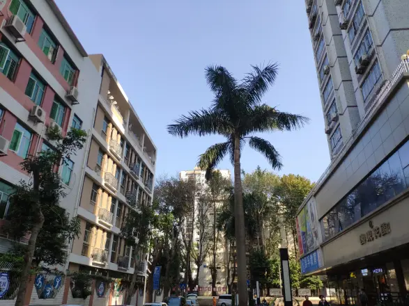 园东花园