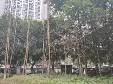 南滨路上精装修两房,交通便利,出门即公园