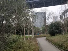 南滨路上铜元局轻轨站旁,近轻轨,视野看江看桥
